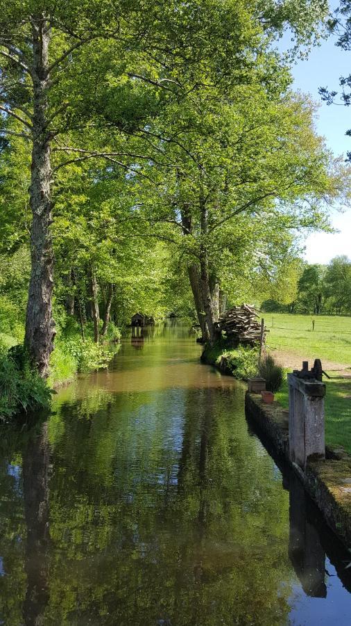 Bed and Breakfast Le Moulin Du Cluzeau Chaillac Exterior foto